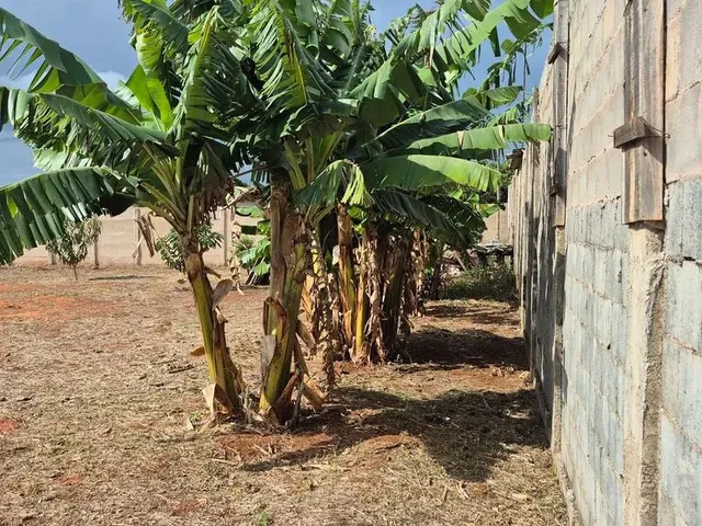 Imagem: Vendo Lote. Faço Trocas