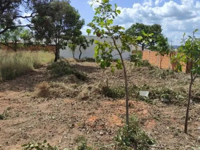 Imagem: Vendo Lote de 360 M2 em Posse/Go - Vazio
