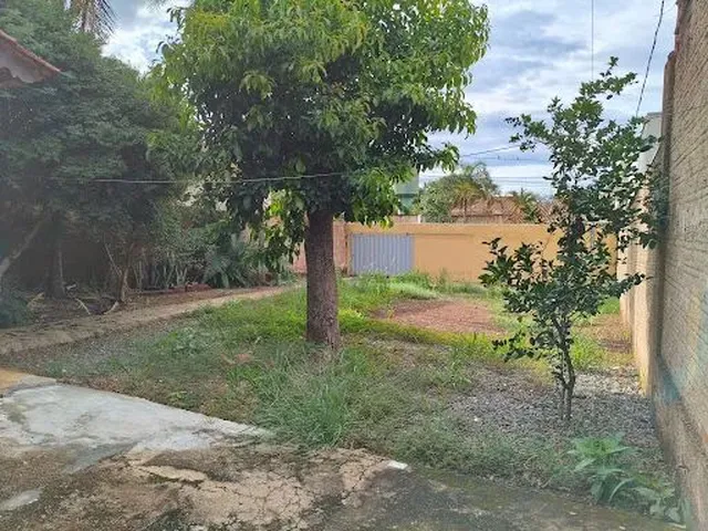 Imagem 10: Lote em Região Nobre com Edícula nos Fundos