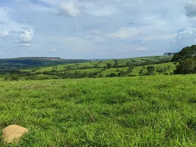 Imagem: Fazenda de 79 Alqueires em Corumba-Go
