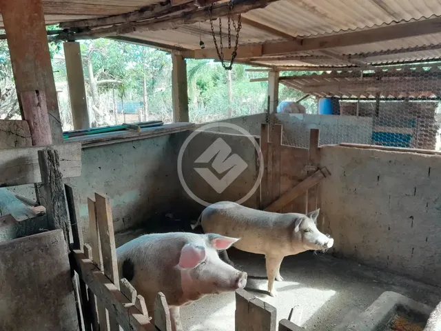 Imagem: Chácara com 3.512 M² Localização Privilegiada