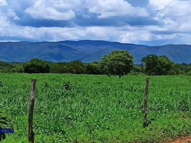 Imagem: A fazenda possui 120m² de Área e está localizado em Alto