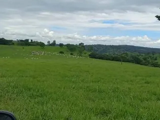 Imagem: Fazenda de 614.2286 Hect em Nova América