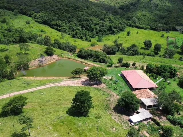Imagem: Fazenda Cultura 61 Alqueires - Itapuranga-Go