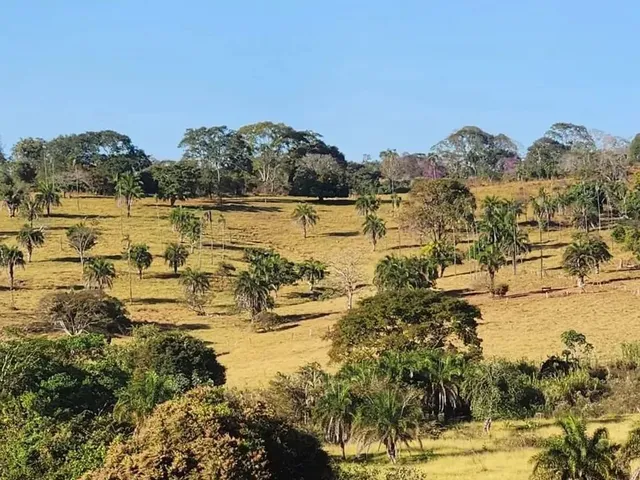 Imagem 10: Fazenda a Venda, em Uruana - Goiás!!!