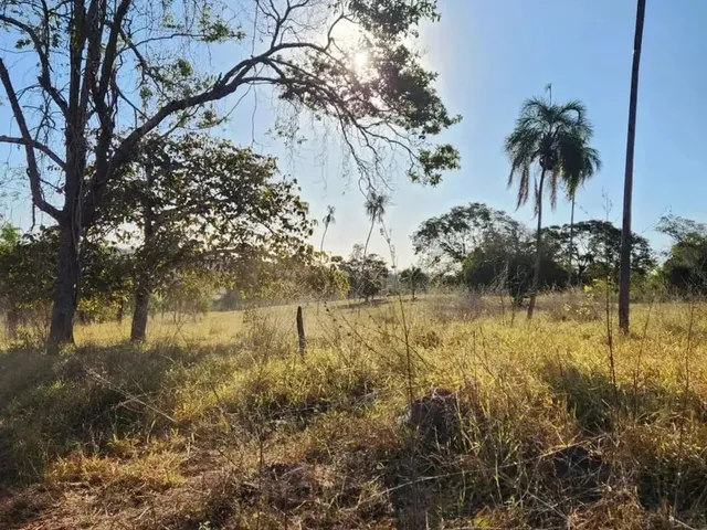 Imagem 9: Fazenda a Venda, em Uruana - Goiás!!!
