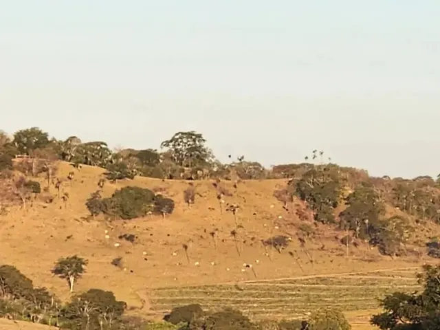 Imagem 5: Fazenda a Venda, em Uruana - Goiás!!!