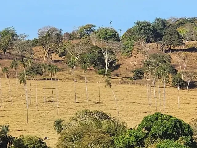 Imagem 12: Fazenda a Venda, em Uruana - Goiás!!!