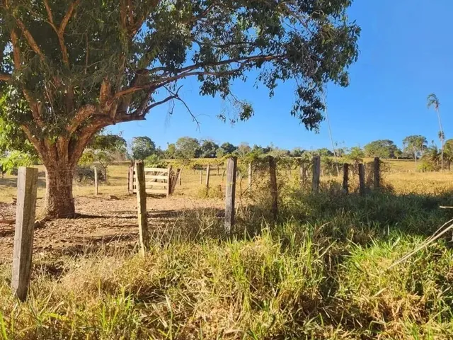 Imagem 15: Fazenda a Venda, em Uruana - Goiás!!!