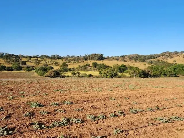 Imagem 14: Fazenda a Venda, em Uruana - Goiás!!!