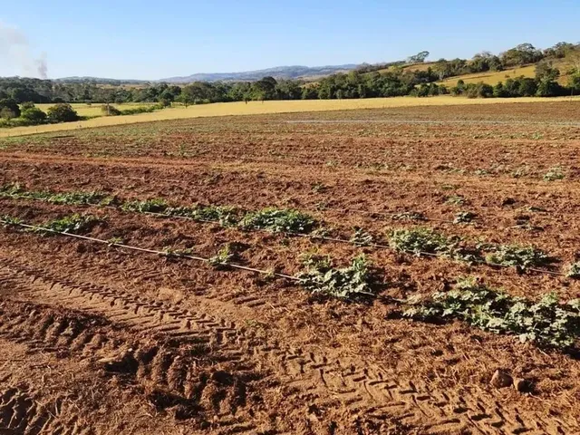 Imagem 8: Fazenda a Venda, em Uruana - Goiás!!!