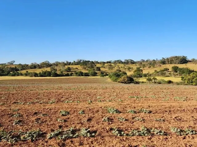 Imagem 11: Fazenda a Venda, em Uruana - Goiás!!!