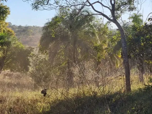 Imagem 6: Fazenda a Venda, em Uruana - Goiás!!!