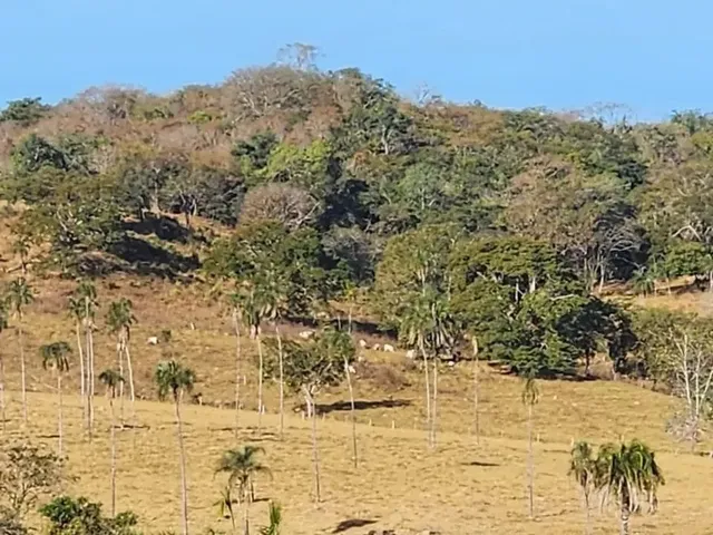 Imagem 13: Fazenda a Venda, em Uruana - Goiás!!!