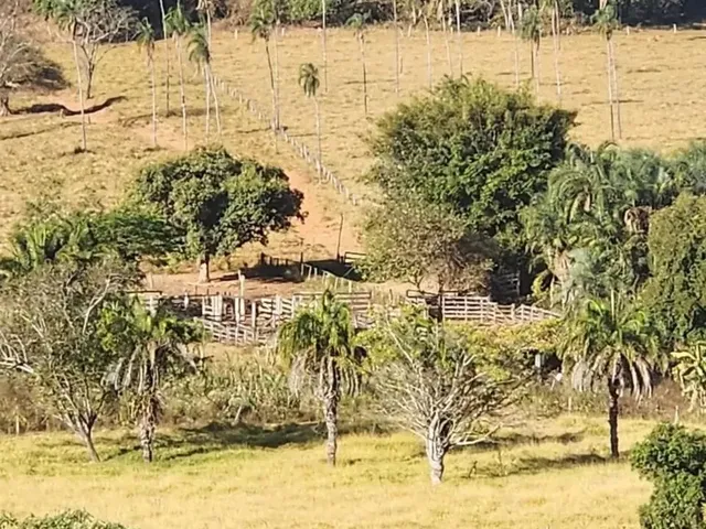 Imagem 7: Fazenda a Venda, em Uruana - Goiás!!!
