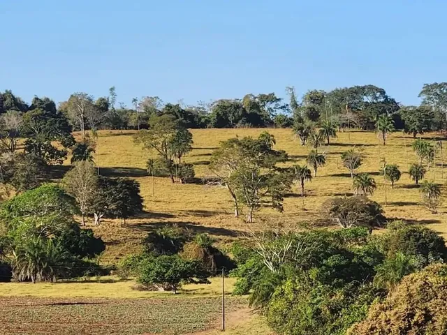 Imagem 4: Fazenda a Venda, em Uruana - Goiás!!!