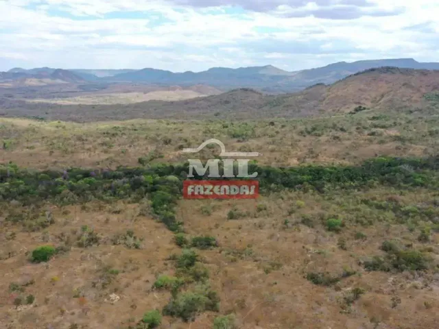 Imagem: Fazenda 960 Alqueires (4.646 Hectares) Colinas