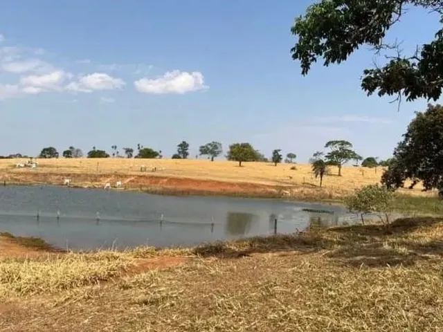 Imagem: Fazenda À Venda 47 Alq de Cultura em Itauçu-Go