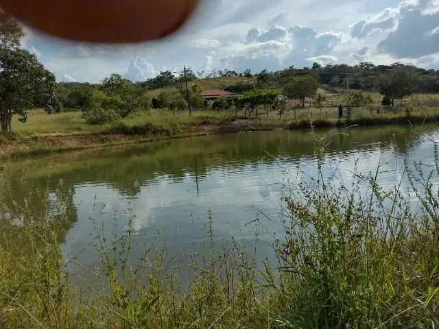 Imagem 5: Chacara 33 Mil Metros em Vianopolis Go