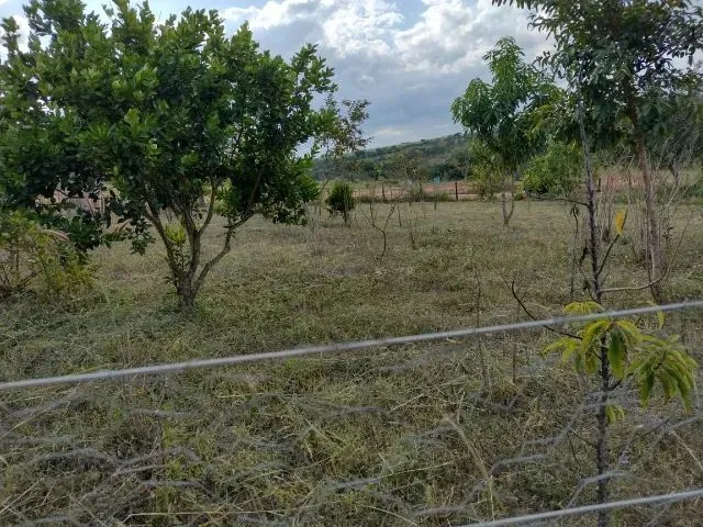 Imagem 6: Chacara 33 Mil Metros em Vianopolis Go