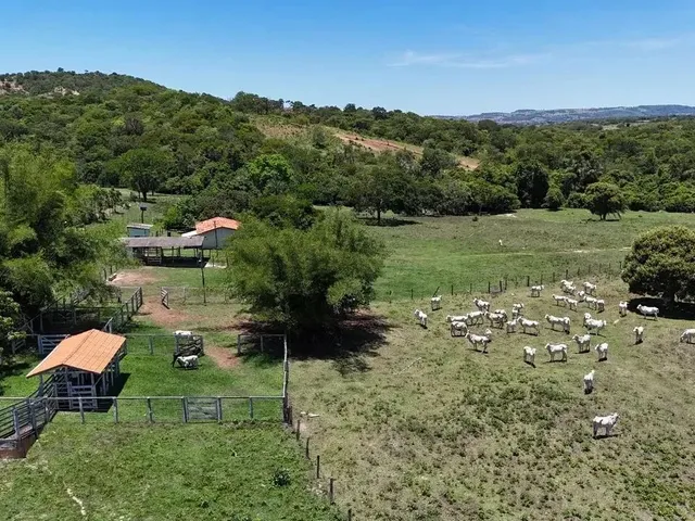 Imagem: Fazenda a Venda, em Varjão - Goiás!!!