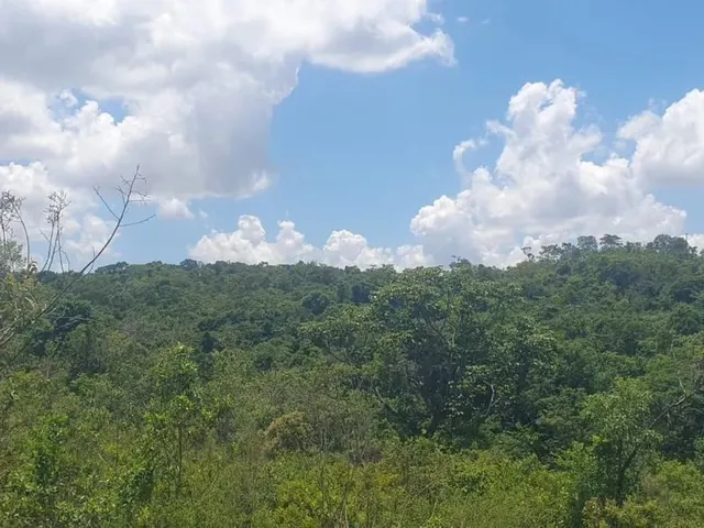 Imagem: Ajio de Chácara