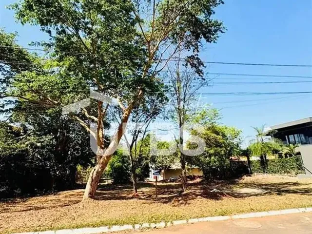 Imagem: Oportunidade de Investimento! Dois Terrenos