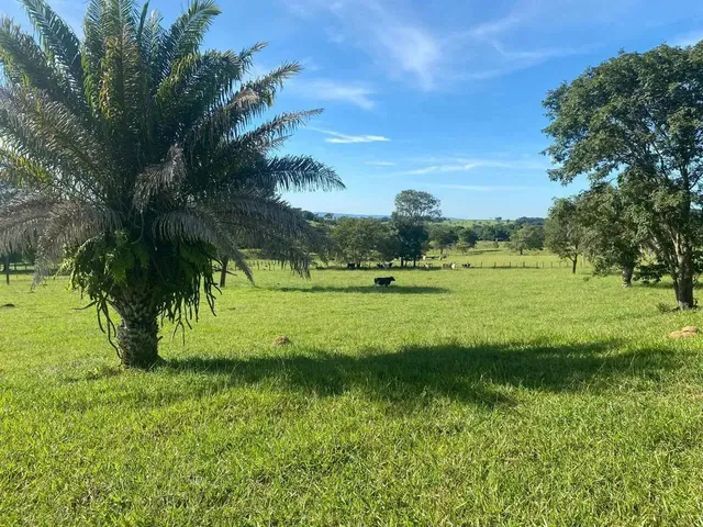Imagem: Ocasião Chácara 1,20 Alqueires, Itaberaí