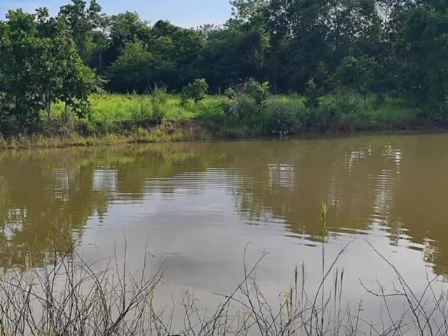 Imagem 3: Vendo Um Sítio em Minaçu Goiás