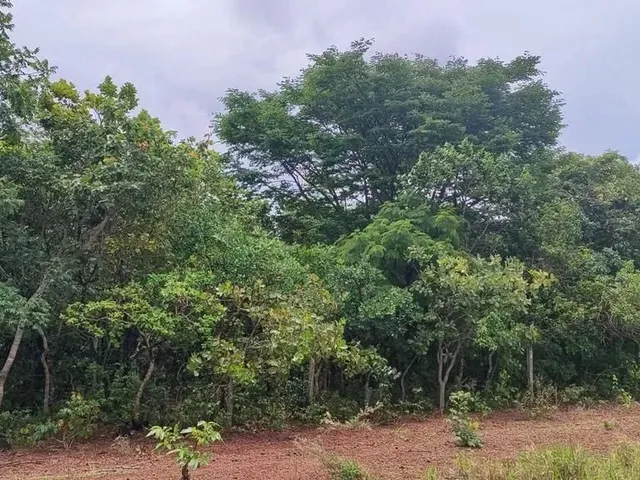 Imagem 13: Chacara À Venda