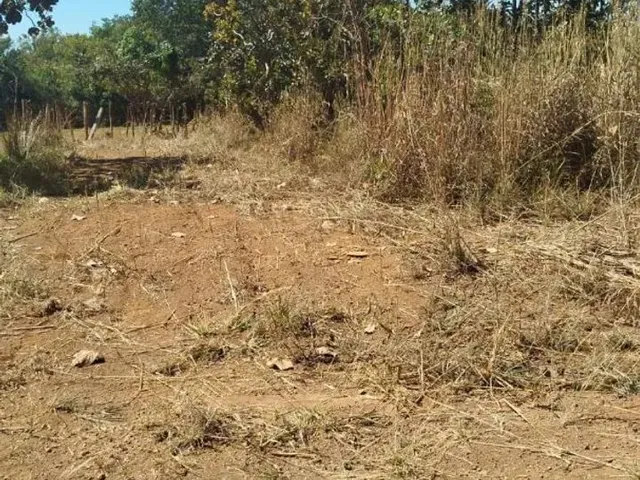 Imagem 14: Chacara À Venda
