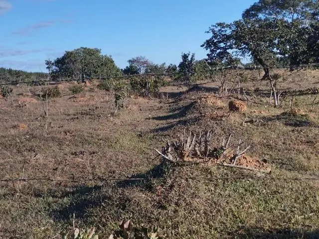 Imagem 15: Chacara À Venda