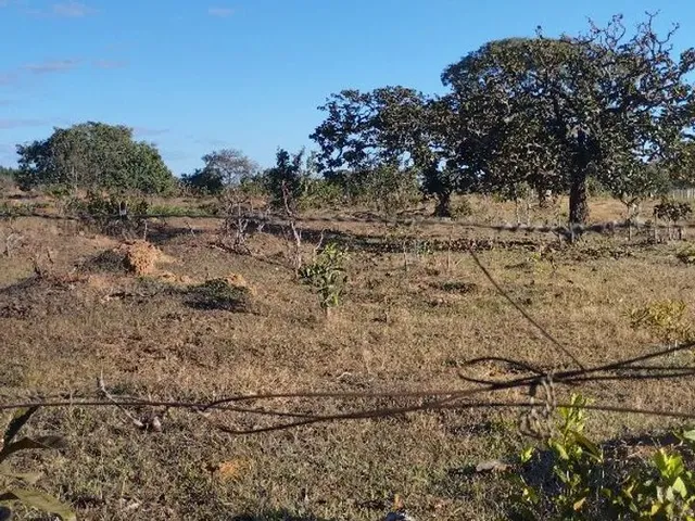 Imagem 16: Chacara À Venda