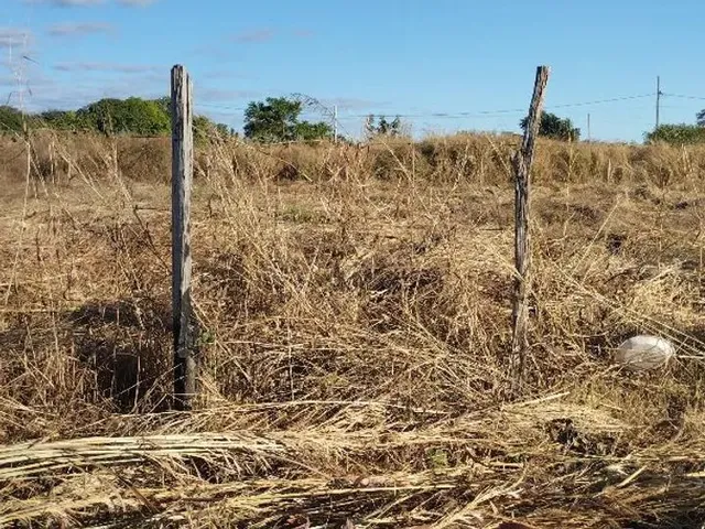 Imagem 2: Chacara À Venda