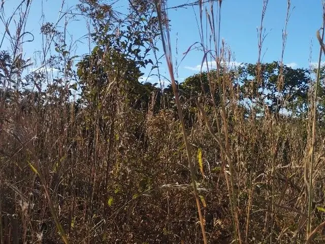 Imagem 3: Chacara À Venda