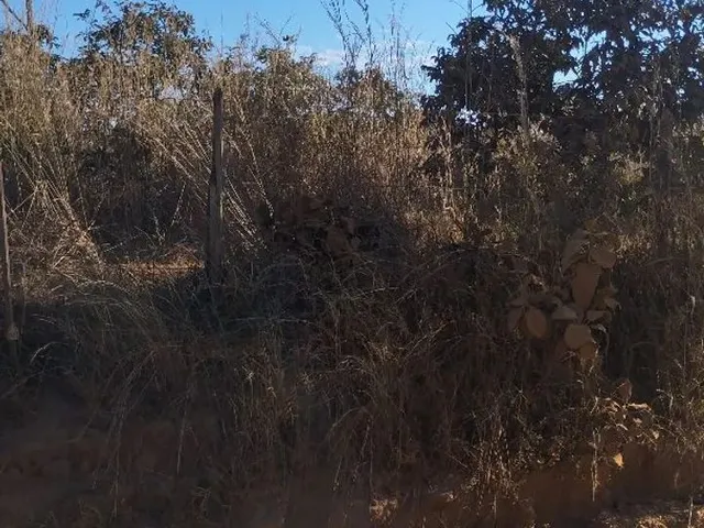 Imagem 4: Chacara À Venda