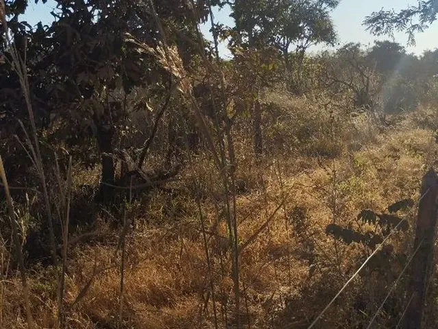 Imagem 5: Chacara À Venda