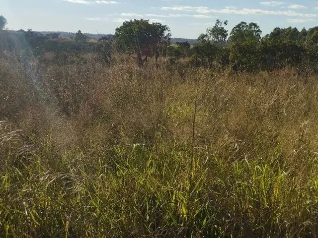 Imagem 7: Chacara À Venda