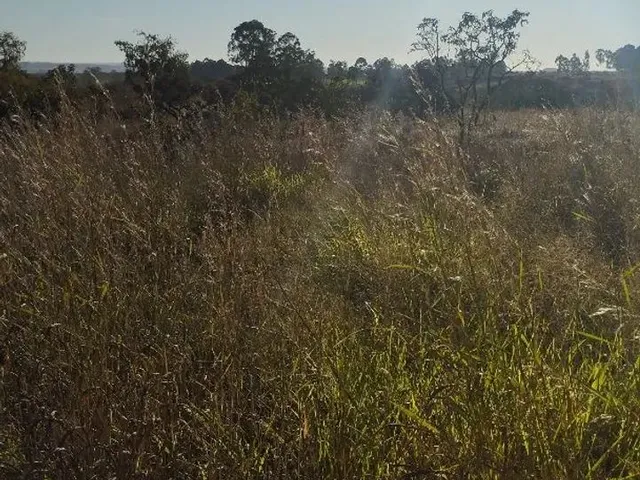 Imagem 8: Chacara À Venda