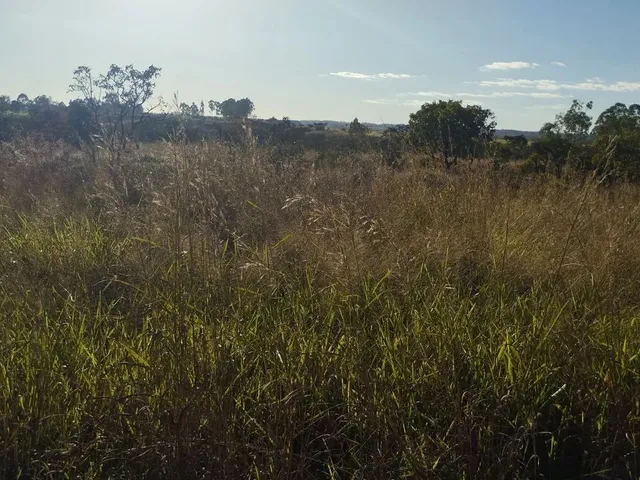 Imagem 9: Chacara À Venda