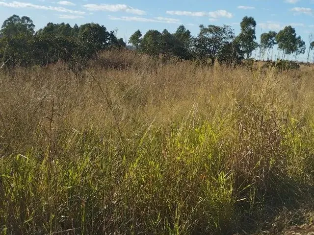 Imagem 10: Chacara À Venda