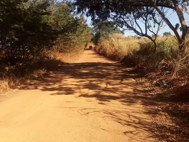 Imagem 11: Chacara À Venda