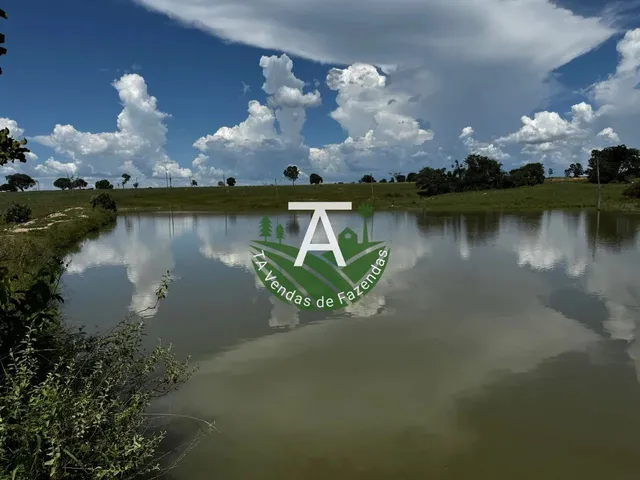 Imagem: Fazenda de 54 Alq em Itapirapuã-Go