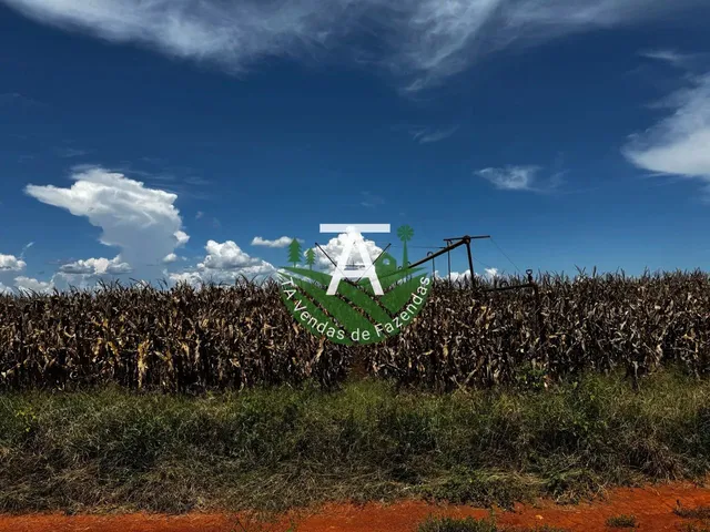 Imagem 3: Fazenda de 54 Alq em Itapirapuã-Go