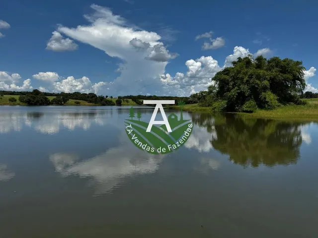 Imagem 2: Fazenda de 54 Alq em Itapirapuã-Go