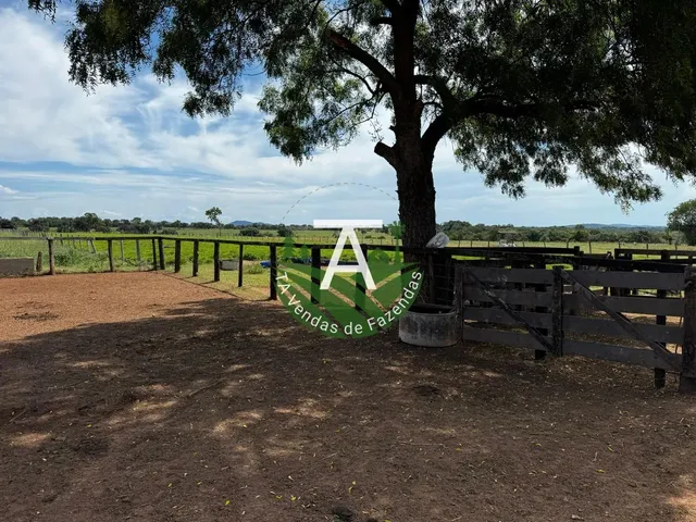 Imagem 6: Fazenda de 54 Alq em Itapirapuã-Go