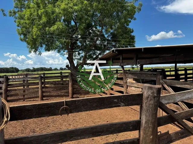 Imagem 8: Fazenda de 54 Alq em Itapirapuã-Go