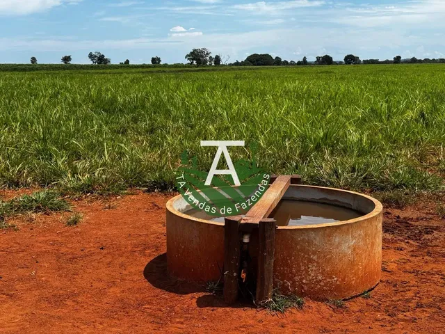 Imagem 11: Fazenda de 54 Alq em Itapirapuã-Go