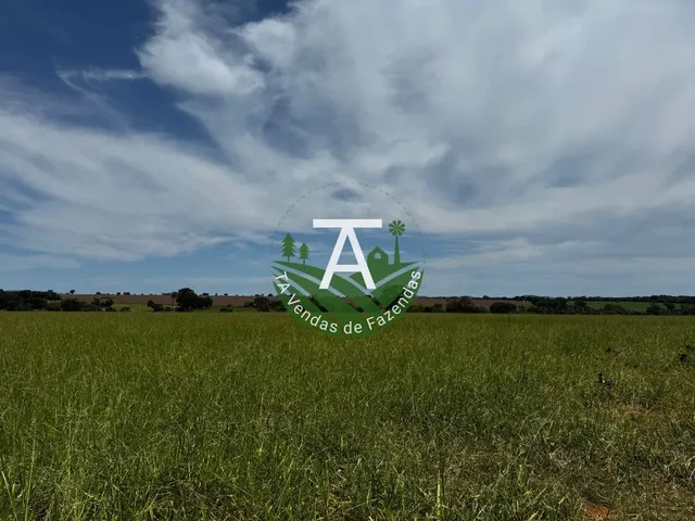 Imagem 5: Fazenda de 54 Alq em Itapirapuã-Go
