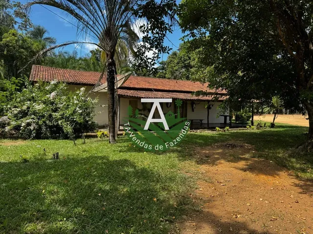 Imagem 16: Fazenda de 54 Alq em Itapirapuã-Go